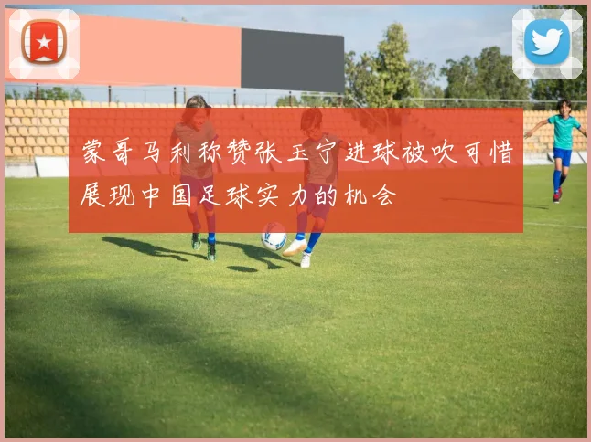 蒙哥马利称赞张玉宁进球被吹可惜展现中国足球实力的机会